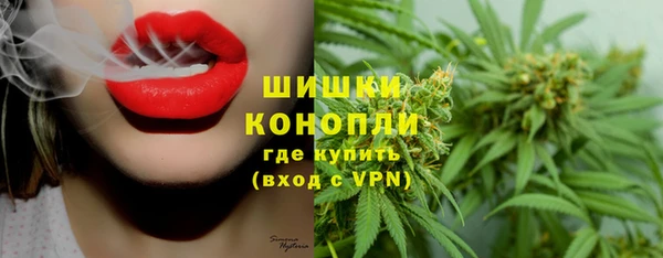 гашик Алексеевка