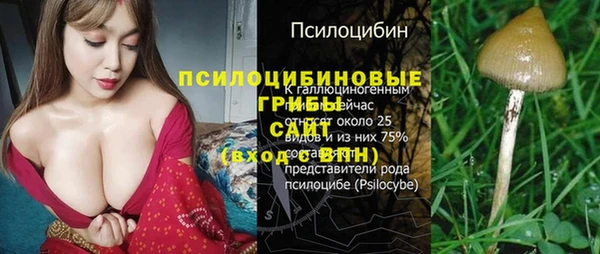 гашик Алексеевка