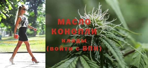 Альфа ПВП Няндома