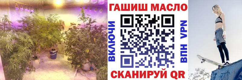 где купить наркоту  Мензелинск  Дистиллят ТГК вейп с тгк 